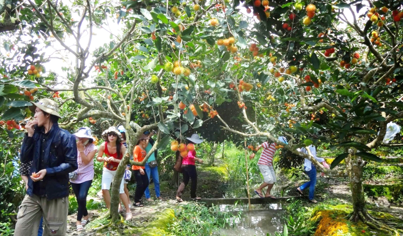 Khám Phá Sông MeKong & Tham Quan Hồ Chí Minh (5)